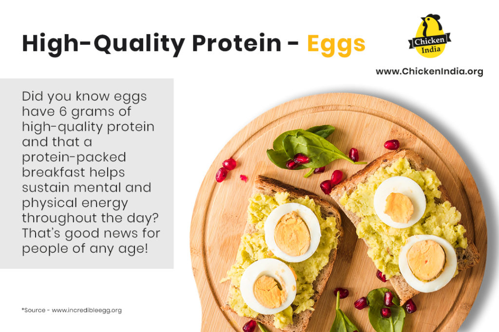 Can Eggs Make You Fat? Healthy Way of Eating Eggs Chicken India