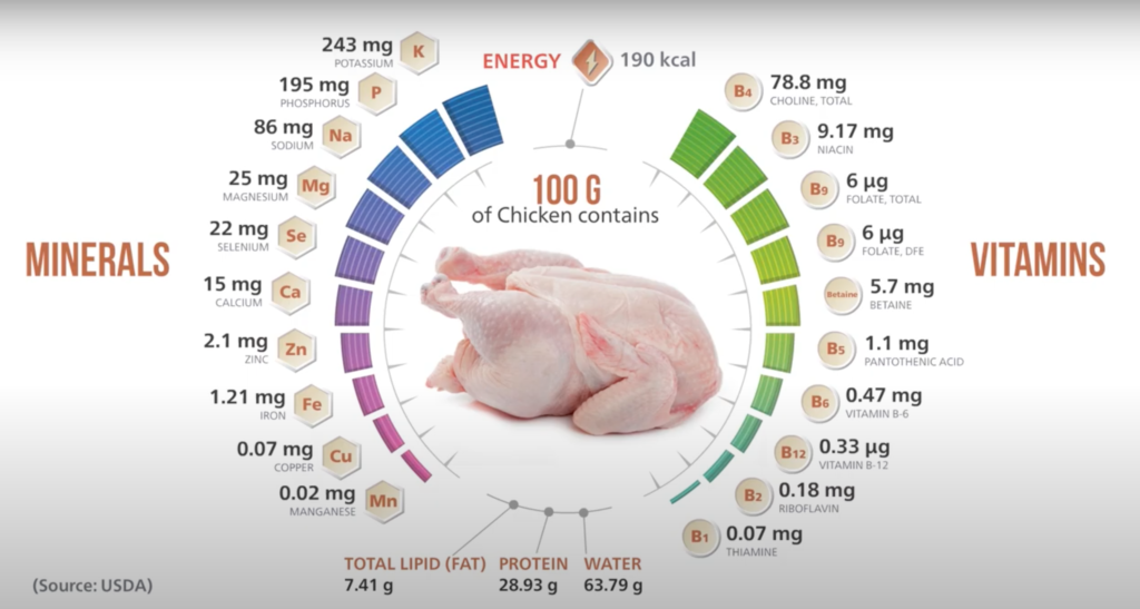 Can we eat boiled chicken daily? - Chicken India